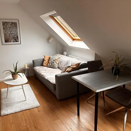 Nest Apartman